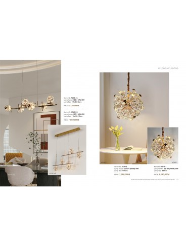CATALOGUE THÁI KIM LONG 2024