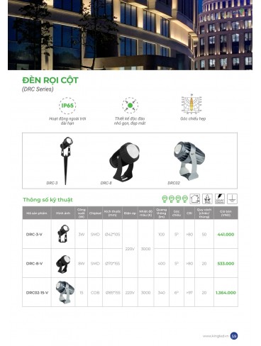 CATALOGUE KINGLED THÁNG 6.2026