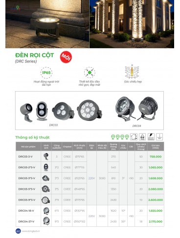 CATALOGUE KINGLED THÁNG 6.2026