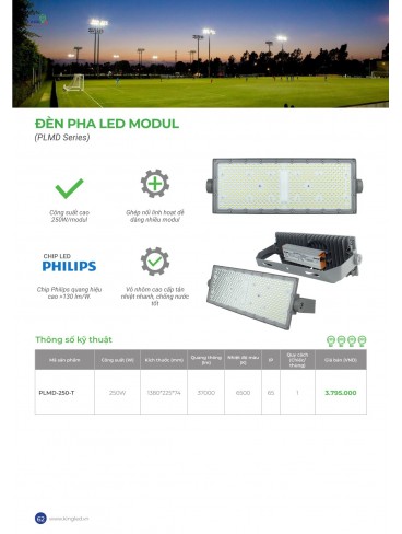 CATALOGUE KINGLED THÁNG 6.2026