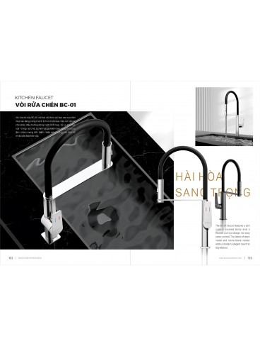 CATALOGUE BỒN RỬA CHÉN BOSSCO