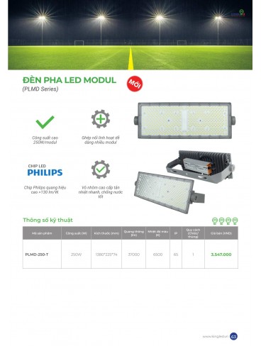 CATALOGUE KINGLED 2025