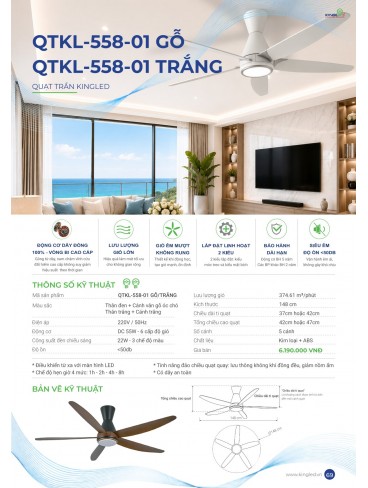CATALOGUE KINGLED THÁNG 6.2026