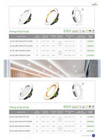CATALOGUE KINGLED 2025