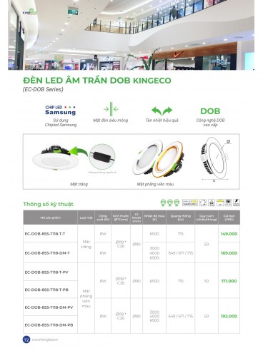 CATALOGUE KINGLED 2025
