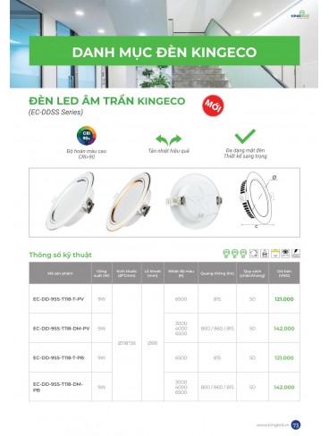 CATALOGUE KINGLED THÁNG 6.2026