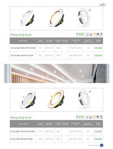 CATALOGUE KINGLED THÁNG 6.2026