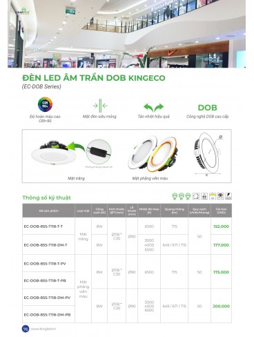 CATALOGUE KINGLED THÁNG 6.2026