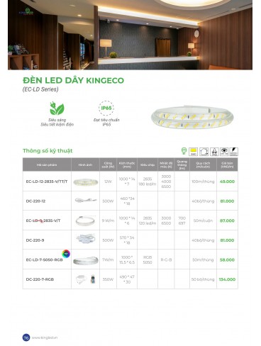 CATALOGUE KINGLED 2025