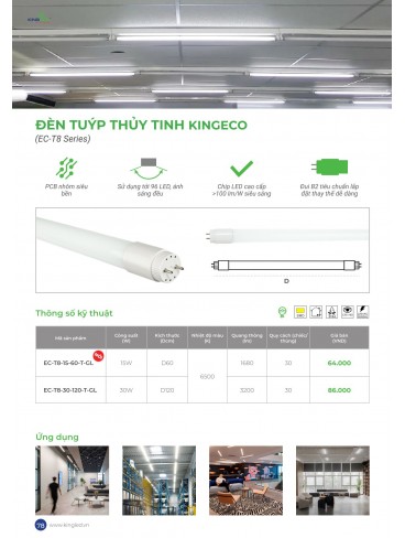CATALOGUE KINGLED 2025