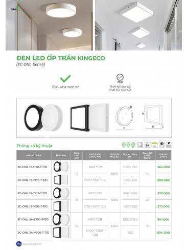 CATALOGUE KINGLED THÁNG 6.2026