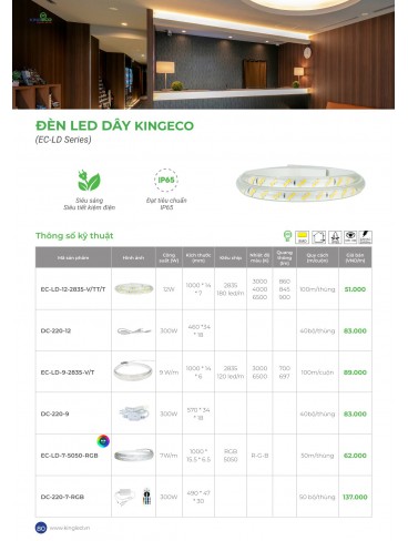 CATALOGUE KINGLED THÁNG 6.2026