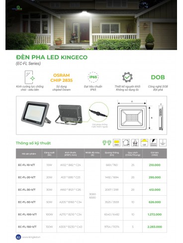 CATALOGUE KINGLED 2025