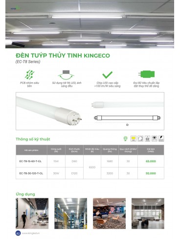 CATALOGUE KINGLED THÁNG 6.2026