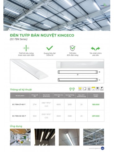 CATALOGUE KINGLED THÁNG 6.2026