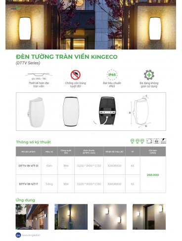 CATALOGUE KINGLED THÁNG 6.2026