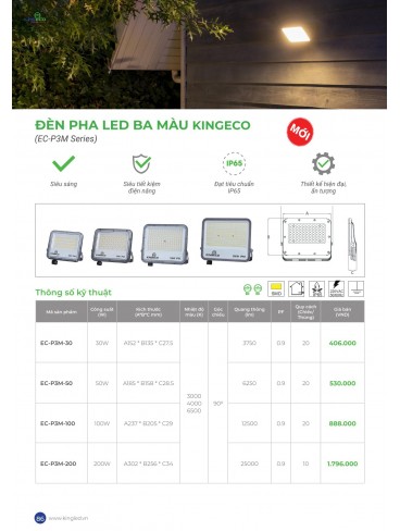 CATALOGUE KINGLED THÁNG 6.2026