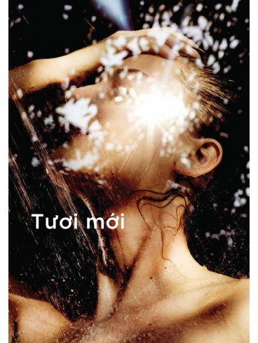 CATALOGUE TOTO MINI 2026