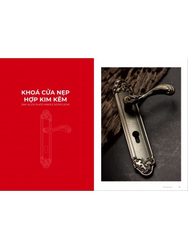 CATALOGUE KHÓA VICKINI 2023 - 2024
