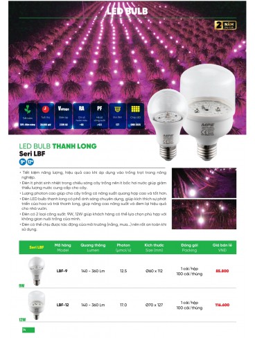 CATALOGUE MPE THÁNG 05/2025
