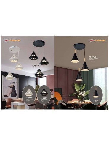CATALOGUE TÂN CƯỜNG THẠNH 2023-2024