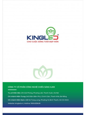 CATALOGUE KINGLED 2024