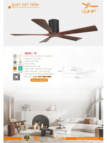 CATALOGUE QUẠT TRẦN PTH VIFA 2024-2025