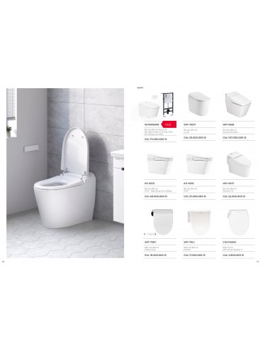 CATALOGUE AMERICAN STANDARD 09-2024