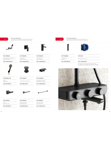 CATALOGUE AMERICAN STANDARD 09-2024