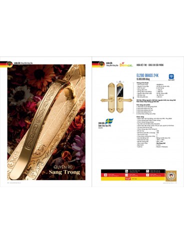 KHÓA ĐIỆN TỬ DEMAX 2025 