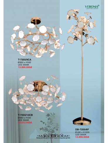 CATALOGUE VERONA 2026