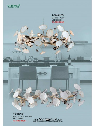 CATALOGUE VERONA 2026